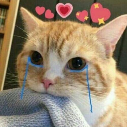 สมาชิกหมายเลข 5951866