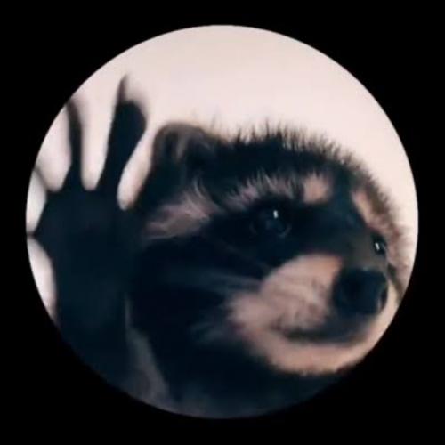 สมาชิกหมายเลข 7028994