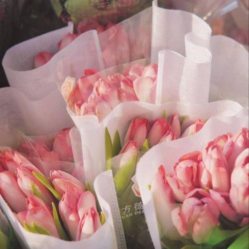 สมาชิกหมายเลข 7822173