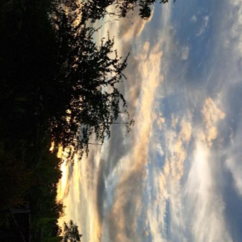 สมาชิกหมายเลข 4651321