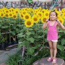 สมาชิกหมายเลข 3267031