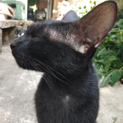 สมาชิกหมายเลข 3933375