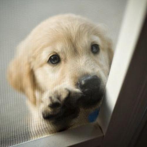 สมาชิกหมายเลข 4678037