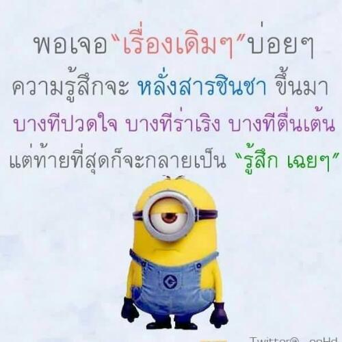 สมาชิกหมายเลข 4678081