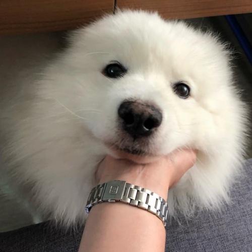 สมาชิกหมายเลข 4678118