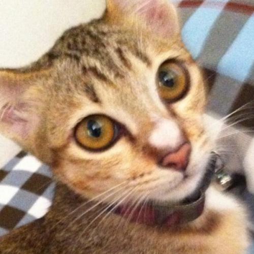 สมาชิกหมายเลข 5816300