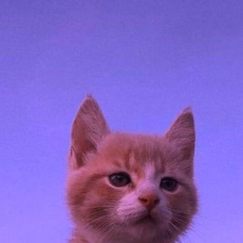 สมาชิกหมายเลข 5952109