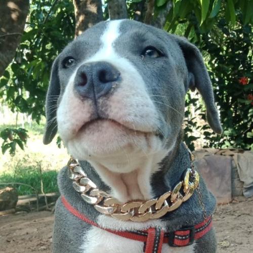 สมาชิกหมายเลข 5952187