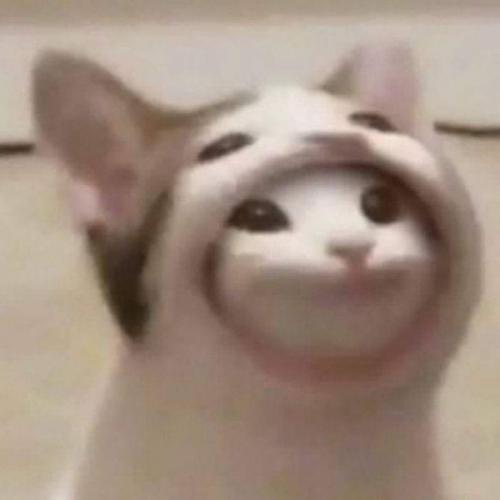 สมาชิกหมายเลข 6077787