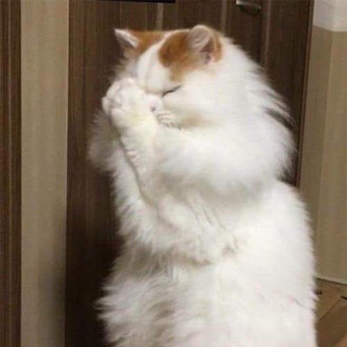 สมาชิกหมายเลข 6557494