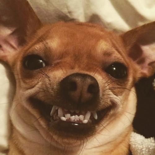 สมาชิกหมายเลข 6493033