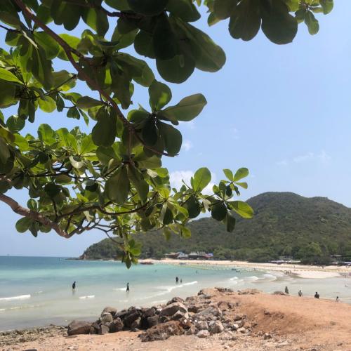 สมาชิกหมายเลข 8108548