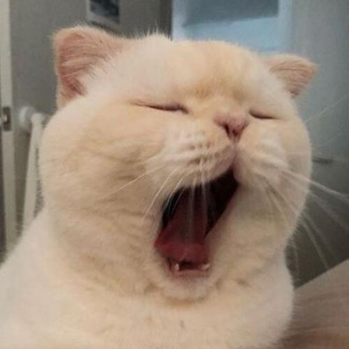 ขวัญชมพู