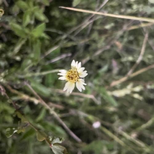 สมาชิกหมายเลข 6180996