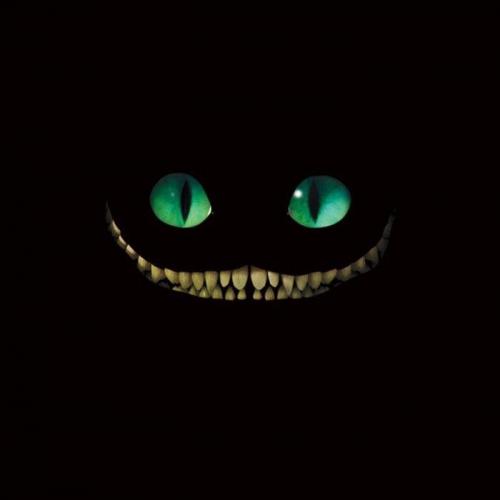 สมาชิกหมายเลข 4678325