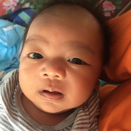 สมาชิกหมายเลข 5042719