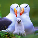 สมาชิกหมายเลข 5042776