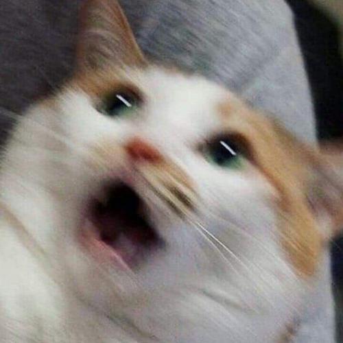 สมาชิกหมายเลข 5042831