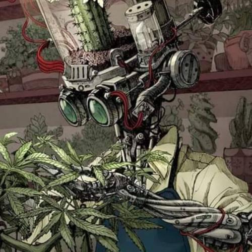 สมาชิกหมายเลข 3917999