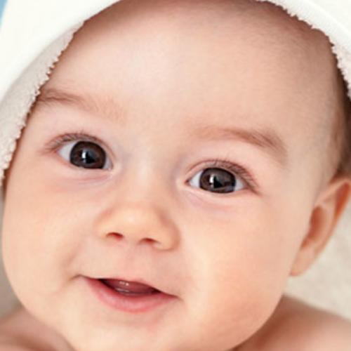 สมาชิกหมายเลข 6558079