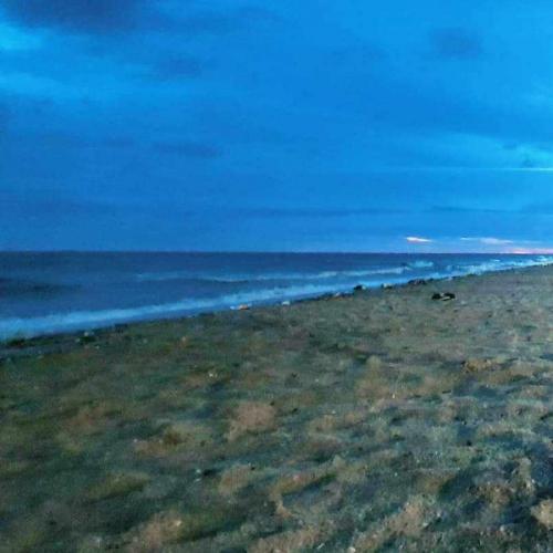 สมาชิกหมายเลข 2783095