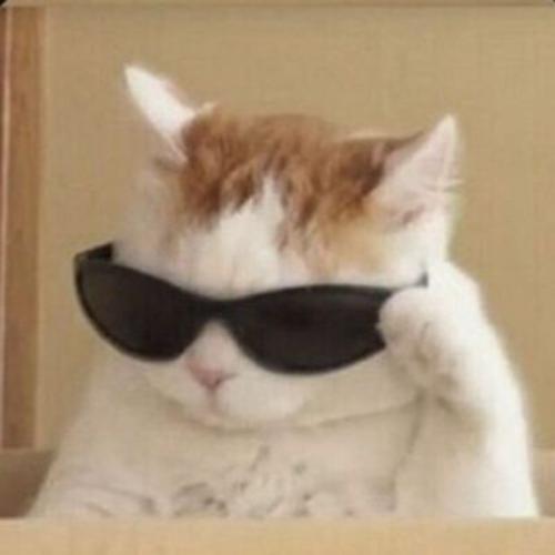 สมาชิกหมายเลข 5557555