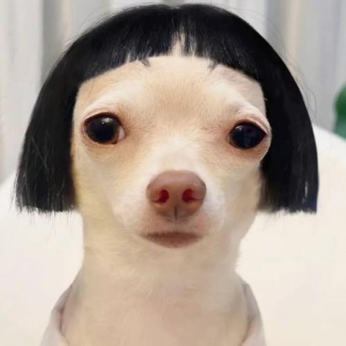 สมาชิกหมายเลข 9142713