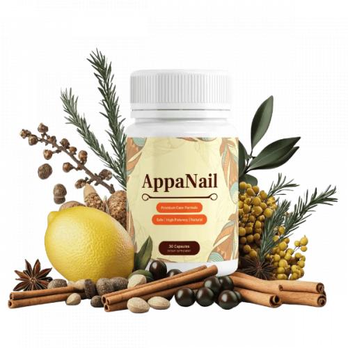 สมาชิกหมายเลข 9142981