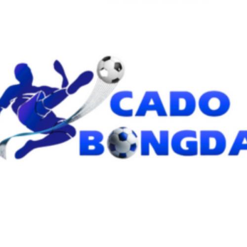 สมาชิกหมายเลข 9143320