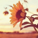 สมาชิกหมายเลข 3487452