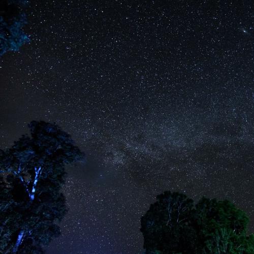 สมาชิกหมายเลข 2460024