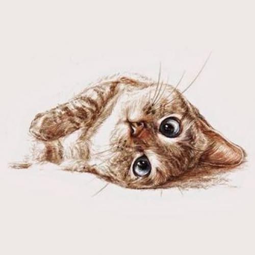 สมาชิกหมายเลข 3716191