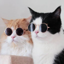 คุณผู้หญิงแสนสวย