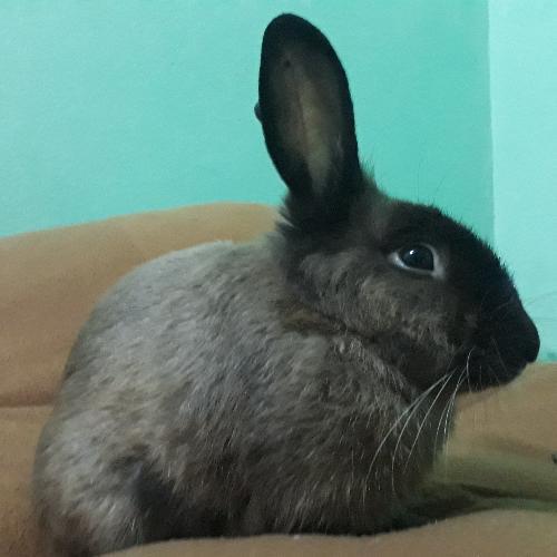 สมาชิกหมายเลข 4678749