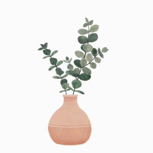 สมาชิกหมายเลข 4678849