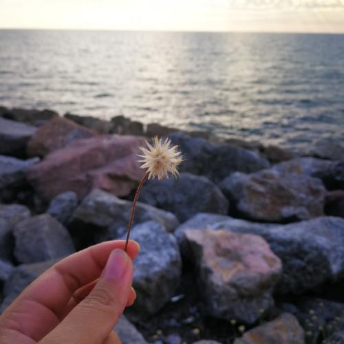 สมาชิกหมายเลข 1995802