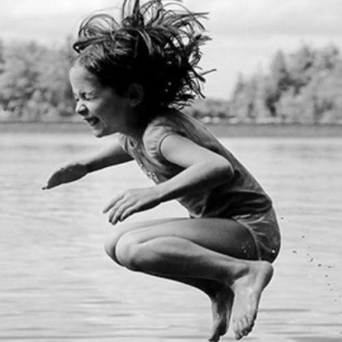 ไก่หมึกกั้งกุ้ง