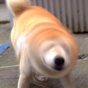 สมาชิกหมายเลข 5042963