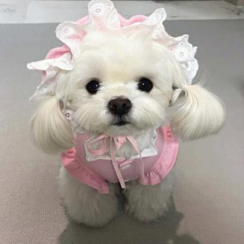 สมาชิกหมายเลข 5435944