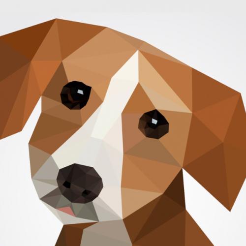 สมาชิกหมายเลข 833633