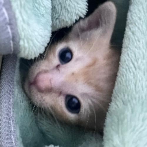 สมาชิกหมายเลข 9090506