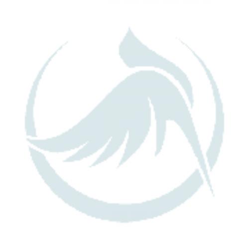 สมาชิกหมายเลข 9144788