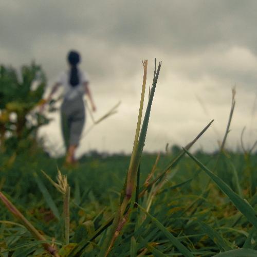 สมาชิกหมายเลข 4679156