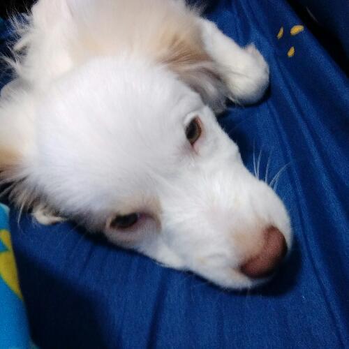 สมาชิกหมายเลข 2860930