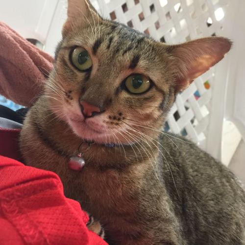 สมาชิกหมายเลข 3995663