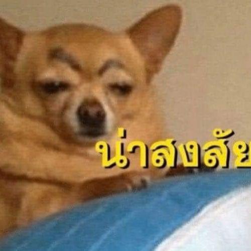 สมาชิกหมายเลข 4292169