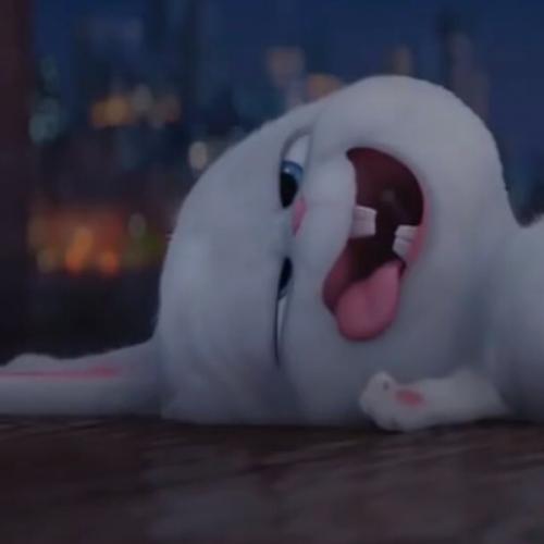 สมาชิกหมายเลข 3728366