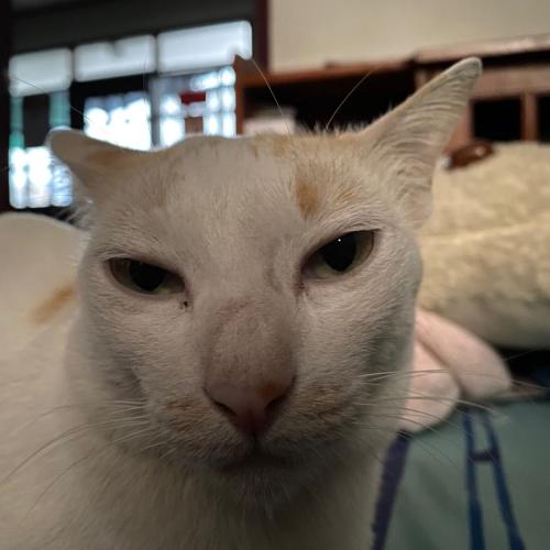 สมาชิกหมายเลข 5741200