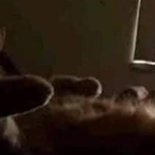 สมาชิกหมายเลข 6047667