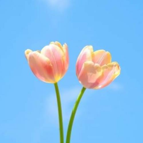 สมาชิกหมายเลข 7918465